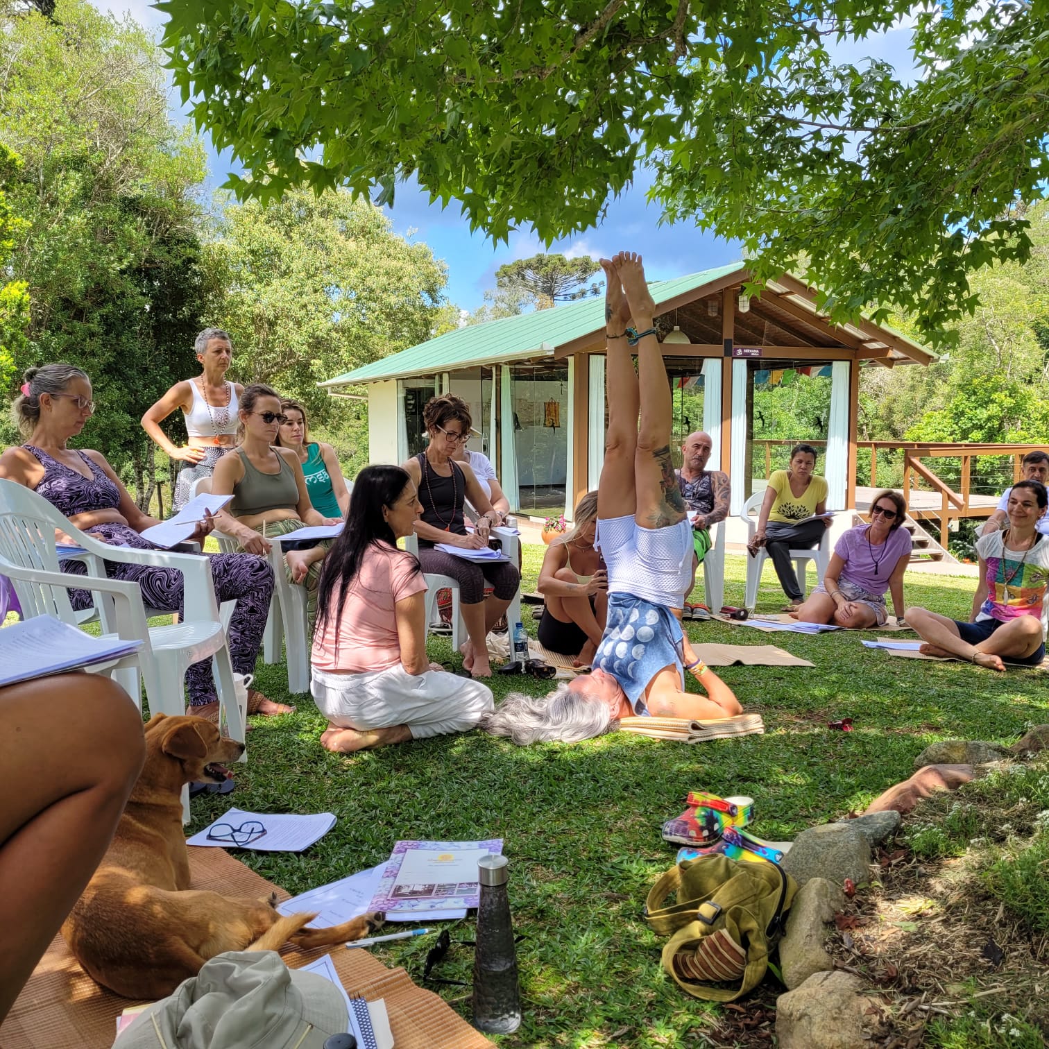 Aula de Yoga ao ar livre com prática de invertida no gramado
